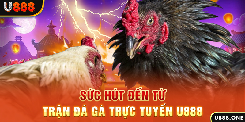 luckywin đá gà trực tiếp c1