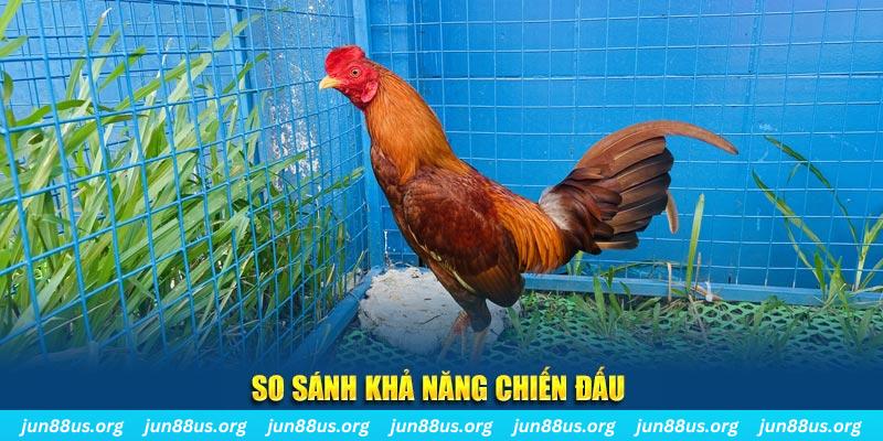 luckywin CQ9 Điện Tử