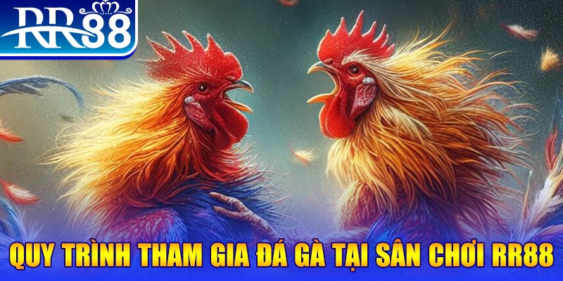 luckywin đá gà cam 67