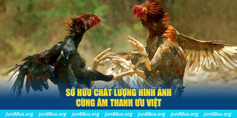 luckywin PP Điện Tử