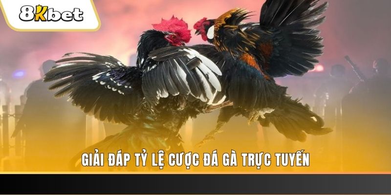luckywin xổ số đài miền trung