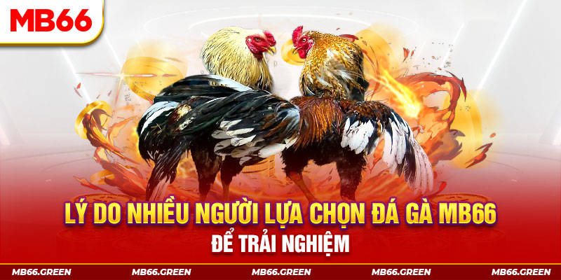 luckywin xổ số miền bắc thứ bảy hàng tuần