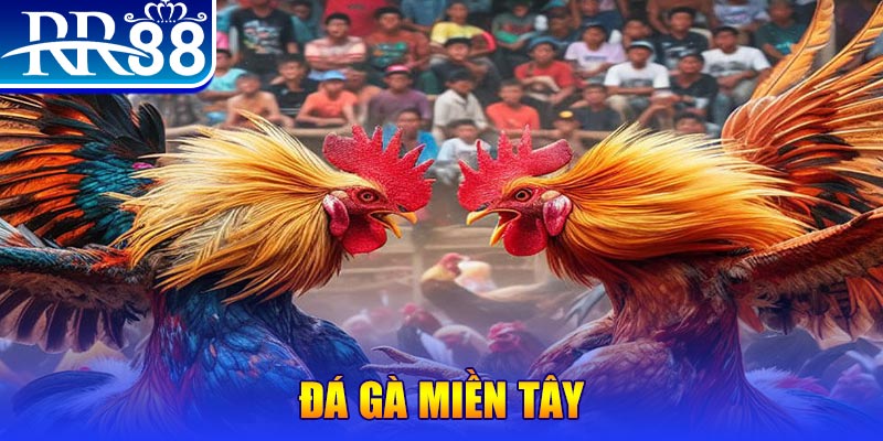 luckywin no hu doi thuong ai