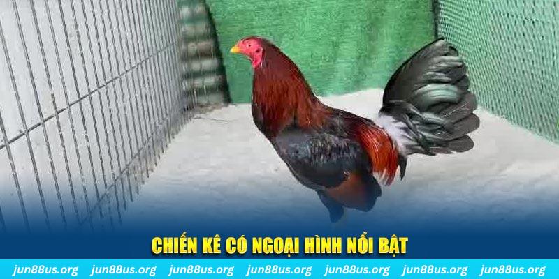 luckywin game nổ hũ là gì