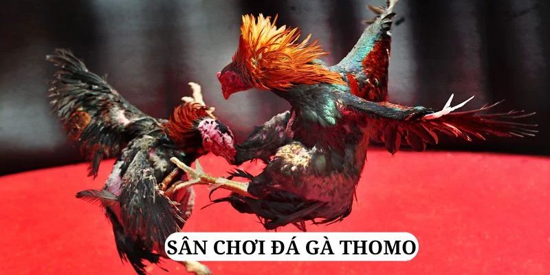 luckywin trực tiếp xổ số miền bắc